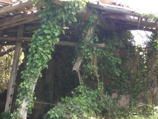 iorato san Giacomo-26-05-2013 12-46-14